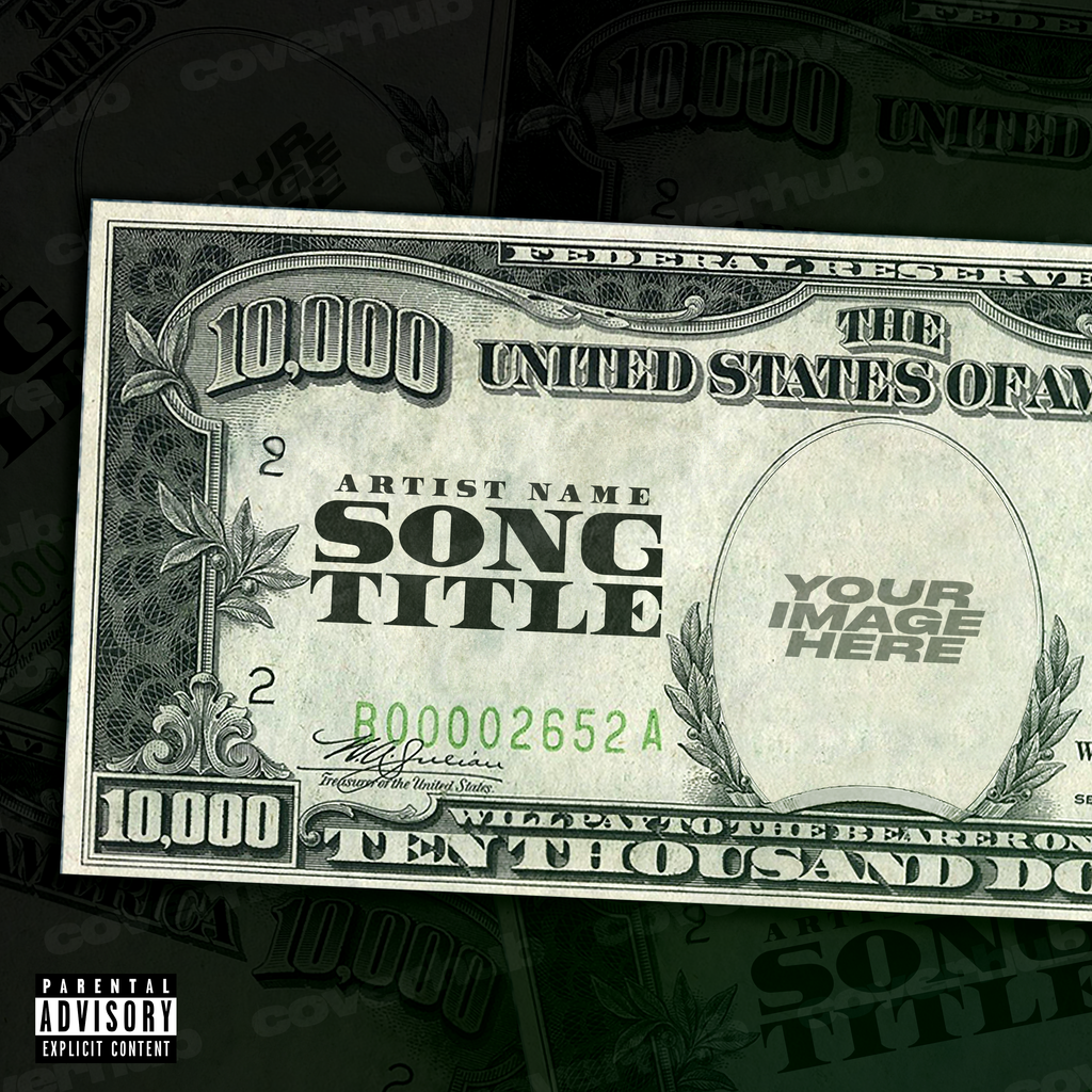 USA USD UNITED STATES AMERICAN DOLLAR MONEY CASH PREMADE ALBUM SINGLE COVER ART WORK TEMPLATE